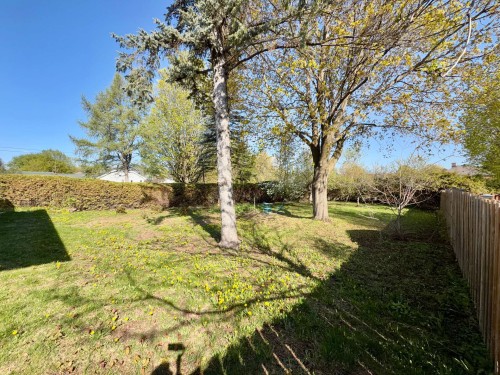 Cour - 415 Rue Bédard, Lachute, QC - Outdoor