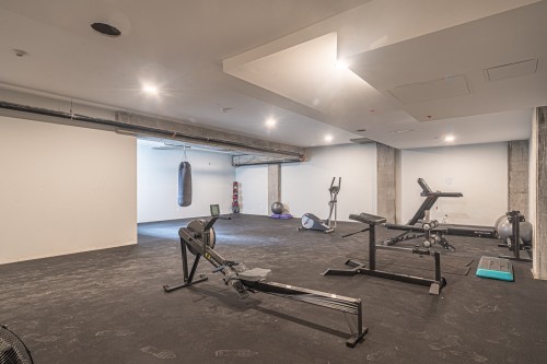 Exercise Room - 208-10150 Boul. St-Laurent, Montréal (Ahuntsic-Cartierville), QC - Indoor Photo Showing Gym Room