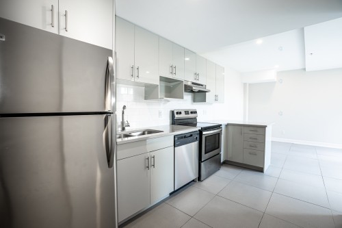 Kitchen - 208-10150 Boul. St-Laurent, Montréal (Ahuntsic-Cartierville), QC - Indoor Photo Showing Kitchen With Double Sink