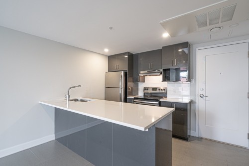 Kitchen - 208-10150 Boul. St-Laurent, Montréal (Ahuntsic-Cartierville), QC - Indoor Photo Showing Kitchen With Double Sink