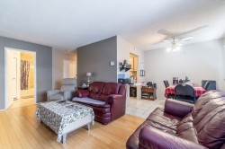 Salon - 