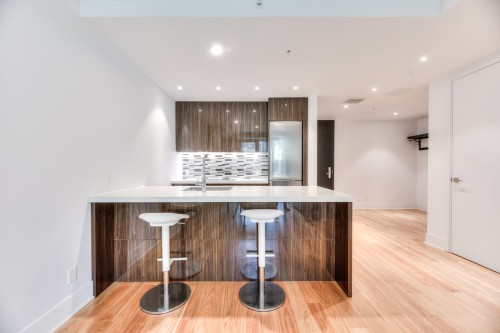 Kitchen - 808-1188 Av. Union, Montréal (Ville-Marie), QC - Indoor Photo Showing Kitchen With Upgraded Kitchen