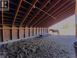 Loose stall area - 