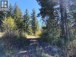 Riding Trails - 