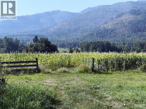 2025 crop in valley fields - 1403 Notch Hill Road, Sorrento, BC 