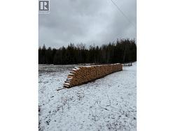 Winter Firewood in upper fields - 