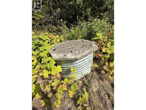 Newer shallow well on hillside - 1403 Notch Hill Road, Sorrento, BC 