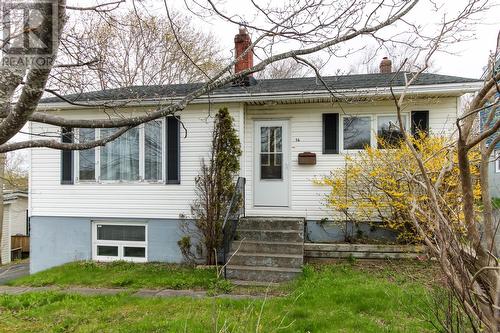 16 Polina Road  St. John's, NL A1B 3K7
