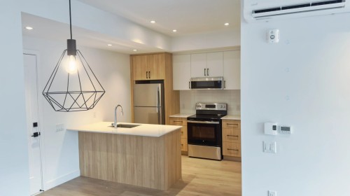 Kitchen - 305-16 Rue St-Joseph, Sainte-Agathe-Des-Monts, QC - Indoor Photo Showing Kitchen