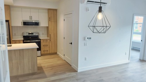 Kitchen - 305-16 Rue St-Joseph, Sainte-Agathe-Des-Monts, QC - Indoor Photo Showing Kitchen
