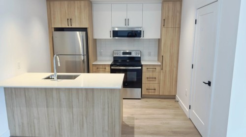 Kitchen - 305-16 Rue St-Joseph, Sainte-Agathe-Des-Monts, QC - Indoor Photo Showing Kitchen