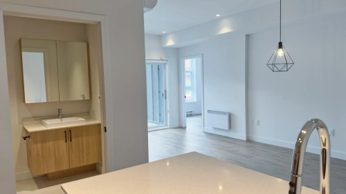 Dining Room - 305-16 Rue St-Joseph, Sainte-Agathe-Des-Monts, QC - Indoor Photo Showing Bathroom