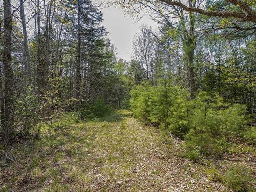 Mickey Hill Loop, Graywood, NS 
