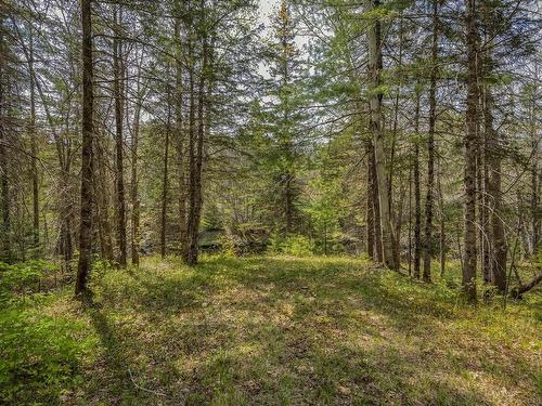 Mickey Hill Loop, Graywood, NS 