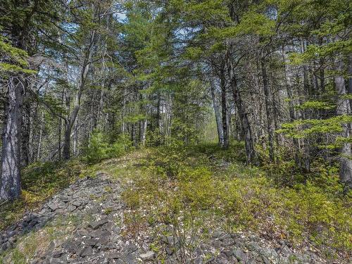 Mickey Hill Loop, Graywood, NS 