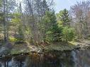 Mickey Hill Loop, Graywood, NS 