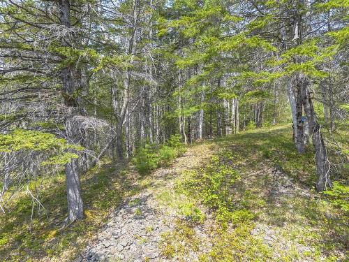Mickey Hill Loop, Graywood, NS 
