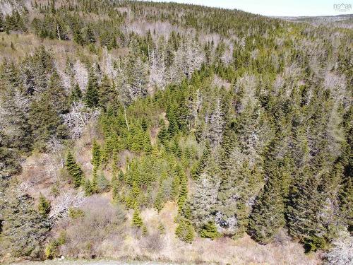 Cemetery Road, Spry Harbour, NS 