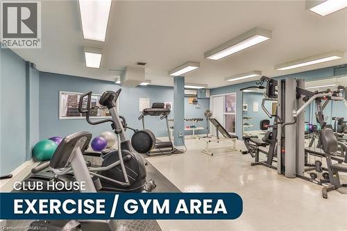 Dedicated fitness room featuring cardio machines, weight training equipment, and mirrored walls - 375 Silverbirch Boulevard, Hamilton, ON - Indoor Photo Showing Gym Room