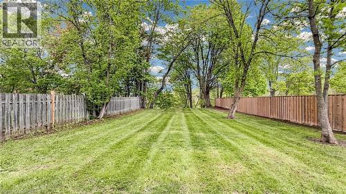 Expansive green lawn with defined mowing lines, bordered by mature deciduous trees - 41 Talbot Road, Delhi, ON - Outdoor