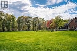 Rear Yard - 