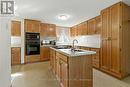 18 Jasper Drive, Hamilton, ON  - Indoor Photo Showing Kitchen 
