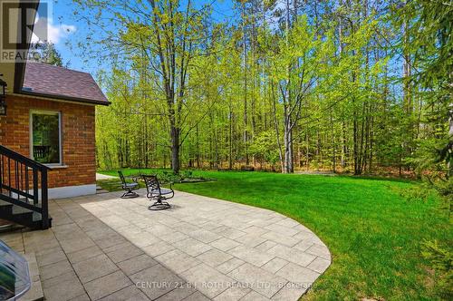 6 Lloyd Cook Drive E, Springwater, ON - Outdoor