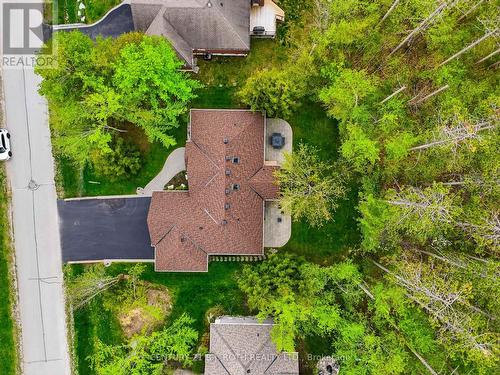 6 Lloyd Cook Drive E, Springwater, ON - Outdoor