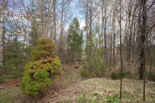Extérieur - 9 Rue Elm, Shannon, QC - Outdoor With View