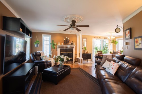 Salon - 9 Rue Elm, Shannon, QC - Indoor Photo Showing Living Room With Fireplace