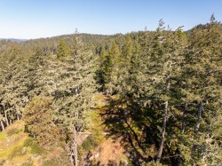 1515 Nighthawk Lane Sooke, BC V9Z 1M9