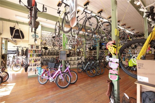 390 Moss St, Victoria, BC 