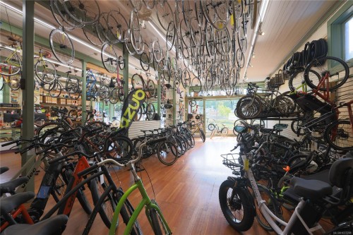 390 Moss St, Victoria, BC 