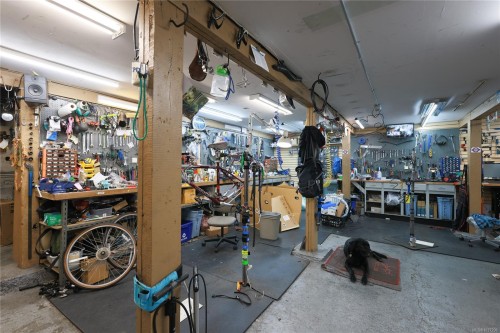 390 Moss St, Victoria, BC 