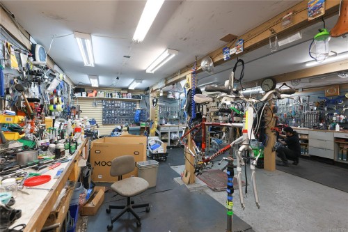 390 Moss St, Victoria, BC 