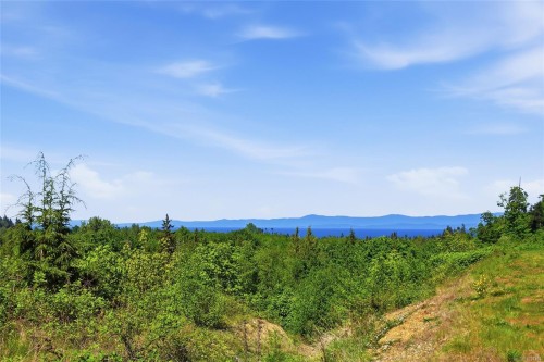 859 Andreef Rd, Qualicum Beach, BC 