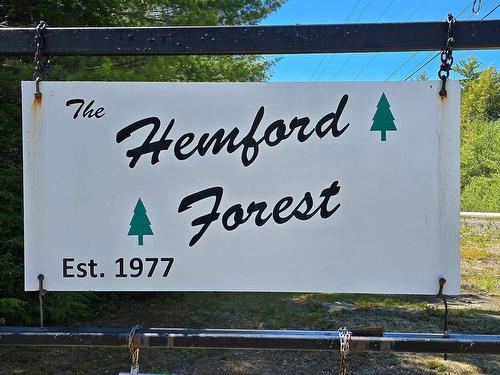 245 Forest Drive, Hemford, NS 