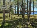 245 Forest Drive, Hemford, NS 