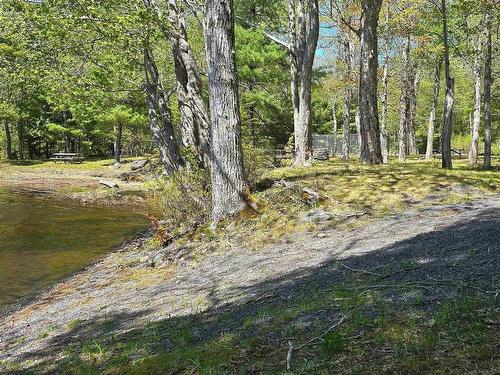 245 Forest Drive, Hemford, NS 