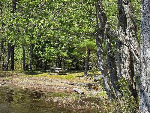 245 Forest Drive, Hemford, NS 