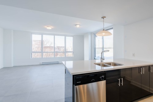 Kitchen - 507-6250 Av. Lennox, Montréal (Côte-Des-Neiges/Notre-Dame-De-Grâce), QC - Indoor Photo Showing Kitchen With Double Sink