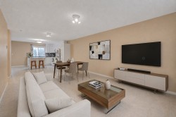Salon - 