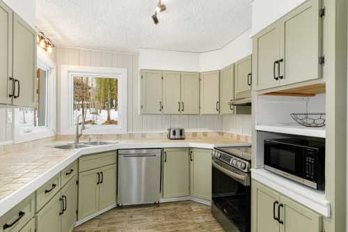 Kitchen - 115  - 115A Rue Diana, Sainte-Agathe-Des-Monts, QC - Indoor Photo Showing Kitchen With Double Sink