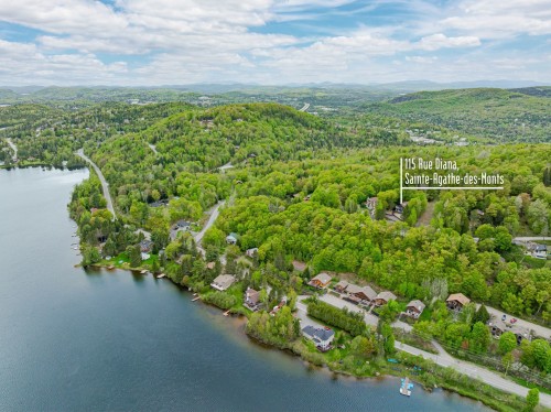 Overall view - 115  - 115A Rue Diana, Sainte-Agathe-Des-Monts, QC - Outdoor With Body Of Water With View