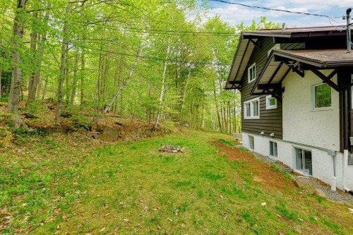 Courtyard - 115  - 115A Rue Diana, Sainte-Agathe-Des-Monts, QC - Outdoor