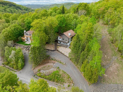 Overall view - 115  - 115A Rue Diana, Sainte-Agathe-Des-Monts, QC - Outdoor With View