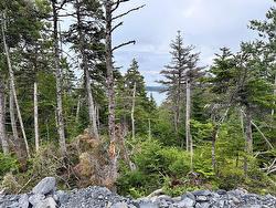 9-10 Pikes Road Spread Eagle, NL A0B 2W0