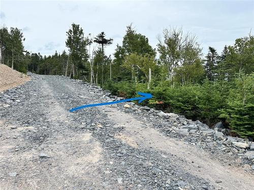 9-10 Pikes Road, Spread Eagle, NL 