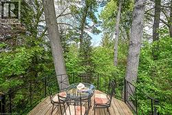 Elevated wood-deck balcony with black wrought-iron railing, surrounded by mature trees and lush foliage - 