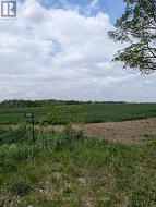 6150 LINE 90 ROAD  North Perth (Wallace), ON N0G 2P0